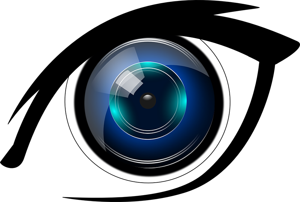 The Camera’s Eye Good Scrolls